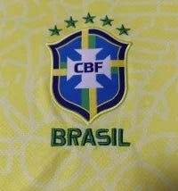 Brazil 24/25 home