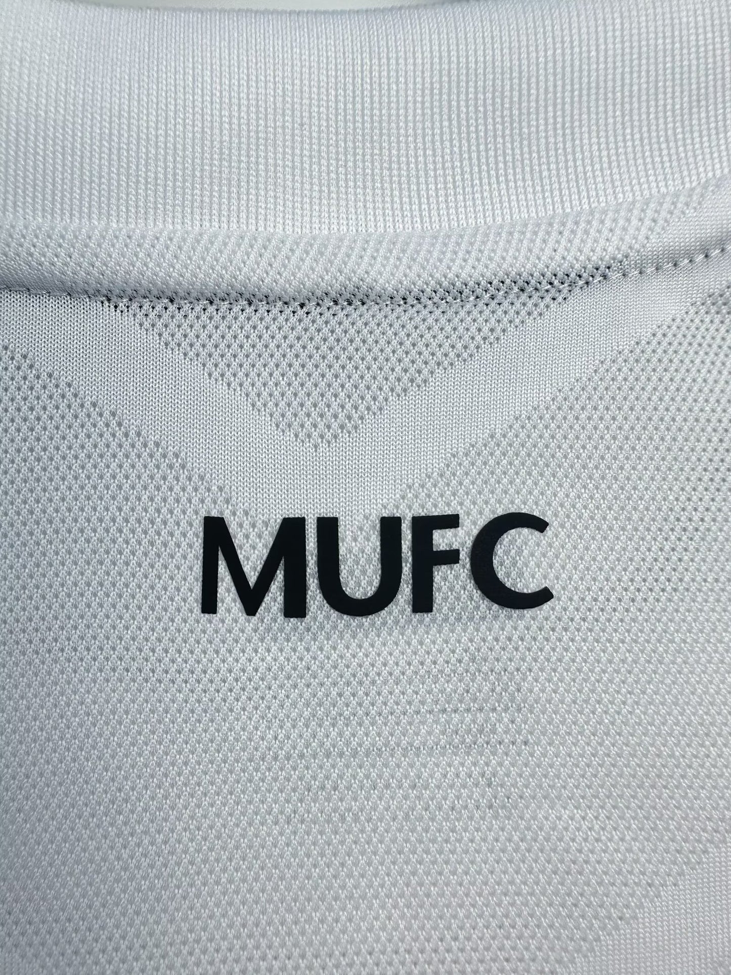 Manchester united 2010/11