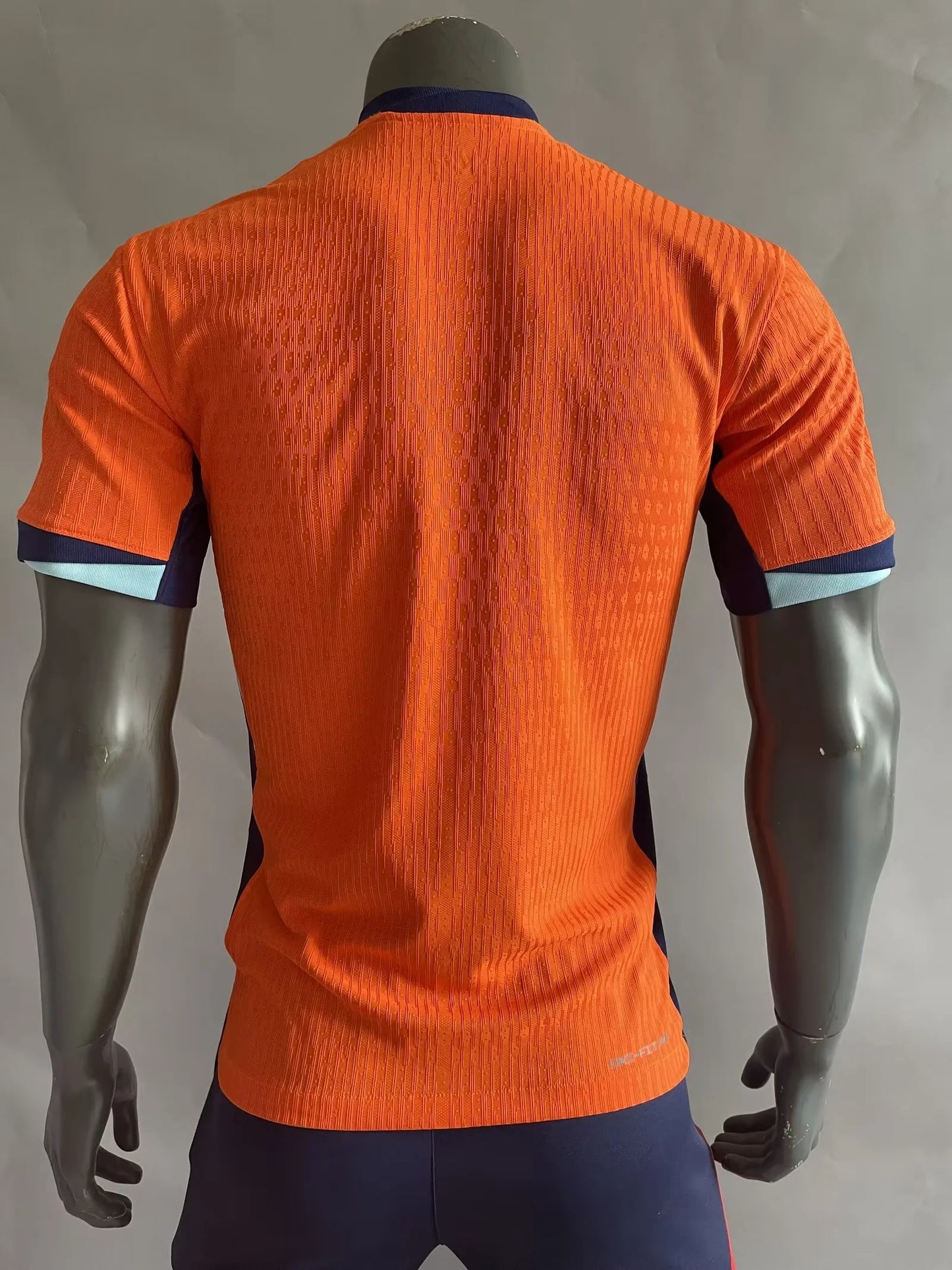 Netherland 2024 home