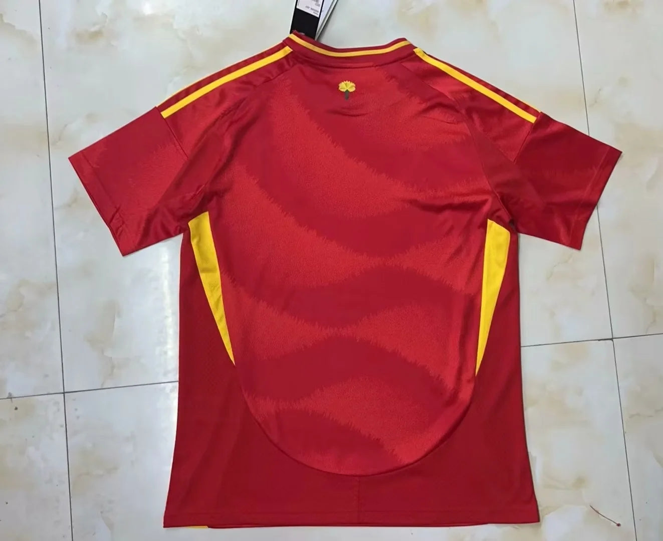 SPAIN 2024 home