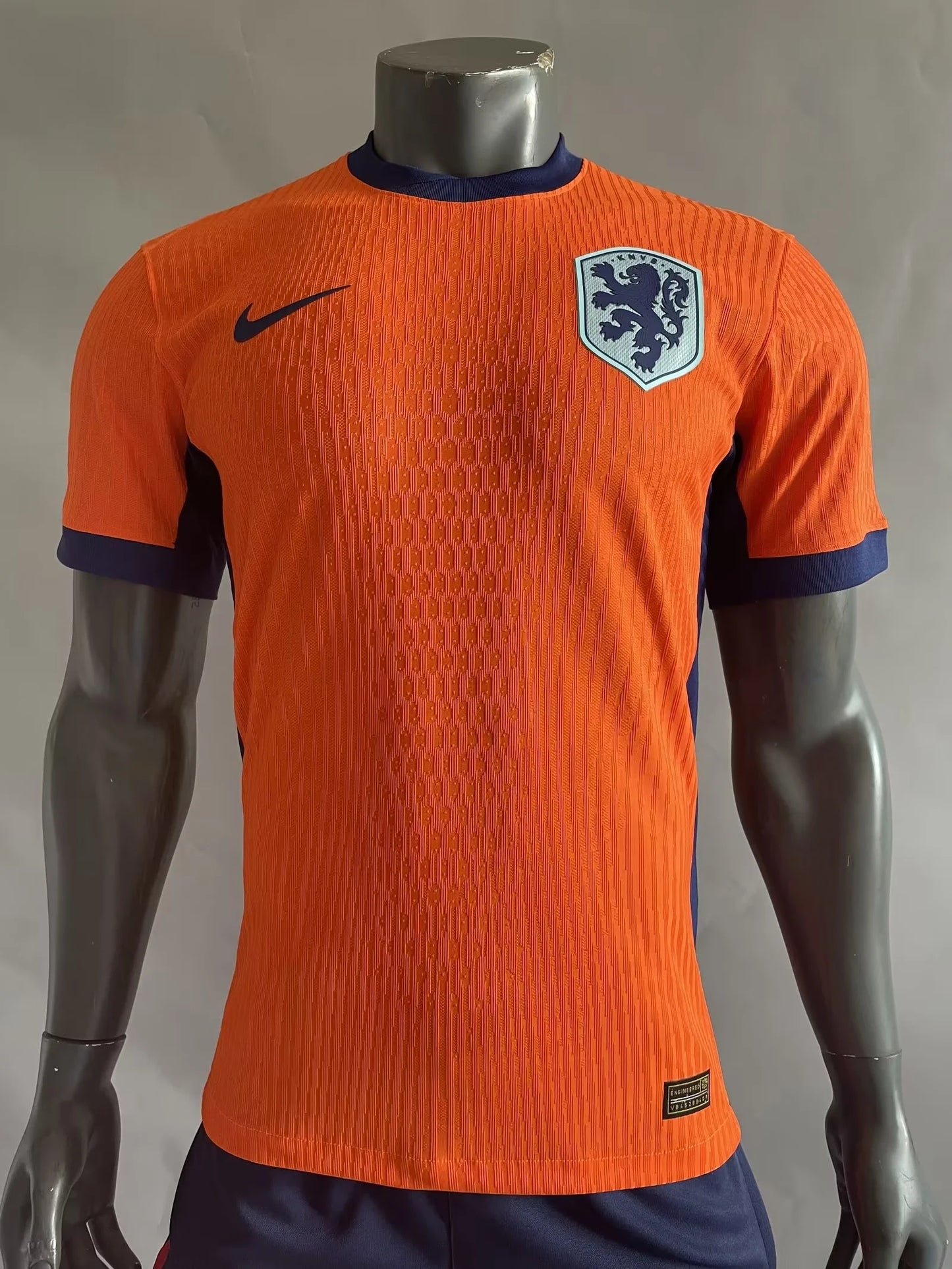 Netherland 2024 home